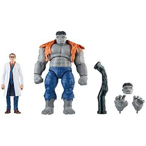 Hasbro Marvel Legends Series Hulk Grey en Dr. Bruce Banner actiefiguur voor volwassenen voor het 60e jubileum van de Avengers, 15 cm