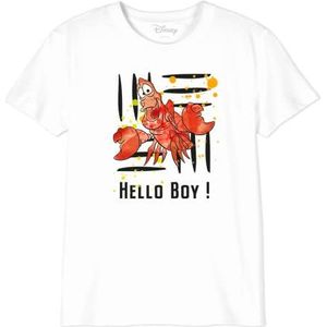 cotton division T-shirt voor jongens, Wit, 14 Jaren