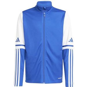adidas Uniseks-Kind SQUADRA25 TRAINING JACKET KIDS, team royal blue/white, 5-6 Years