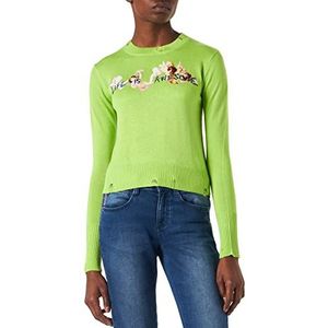 Desigual JERS_Julia Sweater voor dames, groen, XL