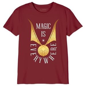 HARRY POTTER ""Magic is Evertwhere"" BOHAPOMTS160 T-shirt voor jongens, bordeauxrood, maat 12 jaar, Bourgondië, 12 Jaren