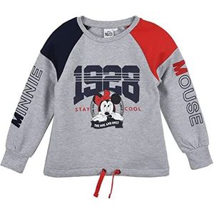 SUN CITY LICENCE DISNEY Sweatshirt voor meisjes, Grijs, 6 Jaren