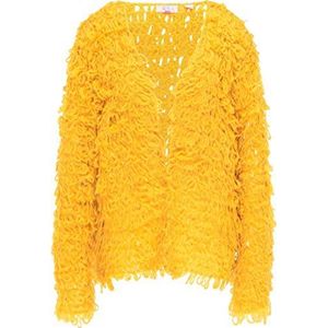 aleva Dames Cardigan 19009946-AL04, mosterd, XS/S, mosterd, XS/S