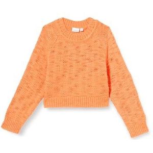 NAME IT Nkftiksen Ls Short Knit Gebreide trui voor meisjes, Bird of Paradise, 116 cm