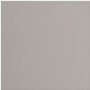 Vaessen Creative Florence Textured Cardstock, Tin Grey, 216 gram, 12x12"", 20 vellen, voor Scrapbooking, kaarten maken, sterven snijden en andere papieren ambachten, 30,5 x 30,5 cm