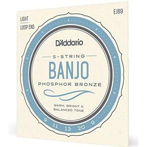 D'Addario EJ69 Banjo Snaren