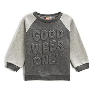 Koton Crew Neck Color Block Sweatshirt Embossed Sweatshirt Kinderen Baby's, antraciet (045), 9/12 meses