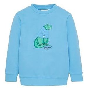 TOM TAILOR Sweatshirt voor jongens en kinderen, 18395 - Rainy Sky Blue, 92/98 cm