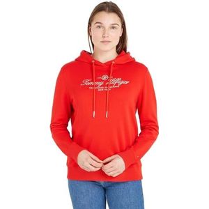 Tommy Hilfiger Dames Regular Hilfiger Script Hoodie Pullover, Vuurwerk, XL