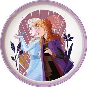 Disney Frozen Elsa Anna platte borden voor meisjes, wit en paars