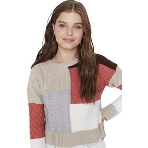 Trendyol Dames Crew Neck Colorblock Regular Sweater Sweater, Beige, S, Beige, S