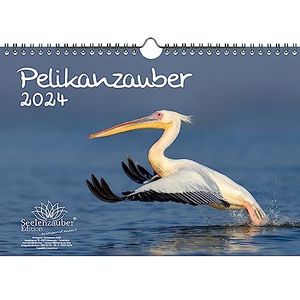 Pelikanzauber DIN A4 kalender voor 2024 Pelikan - Seelenzauber