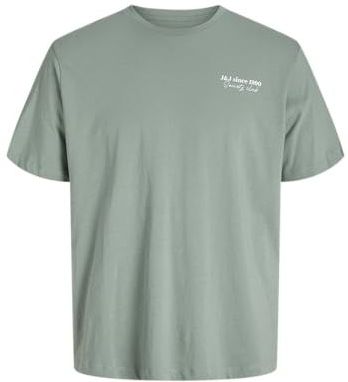 JACK & JONES Shirt 'JJNINETY'  mintgroen / wit