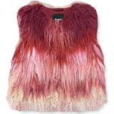 Desigual Bodywarmer  gemengde kleuren / rood