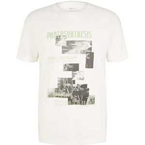 TOM TAILOR Denim Uomini T-shirt 1035599, 12906 - Wool White, L
