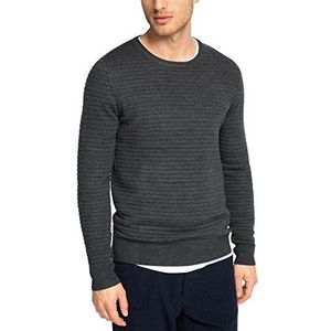 ESPRIT Collection heren truien, grijs (dark grey 020), L