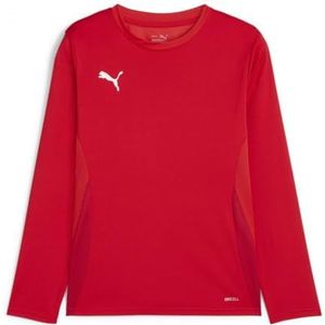 PUMA teamGOAL LS Jersey Jr