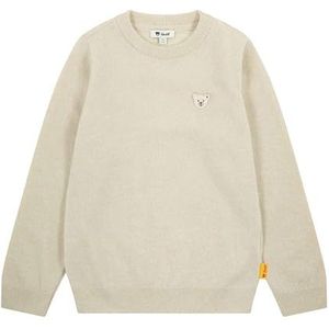 Steiff Pullover EU maat 92 Oyster Gray, trui met lange mouwen, kindertrui, warm en comfortabel, wasmachinebestendig, oyster gray, 92