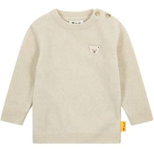Steiff Pullover EU maat 56 Oyster Gray, trui met lange mouwen, kindertrui, warm en comfortabel, wasmachinebestendig, oyster gray, 56