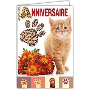 Afie 67-1234 wenskaart Happy Birthday, katje, poten, dieren, oranje, tijger, boeket met witte envelop, formaat 12 x 17,5 cm