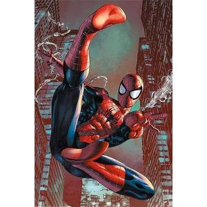 Poster (118R) Spiderman Web Sling (61X91,5)