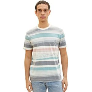 TOM TAILOR Uomini T-shirt 1035557, 31511 - Water Color Stripes Beige Base, L