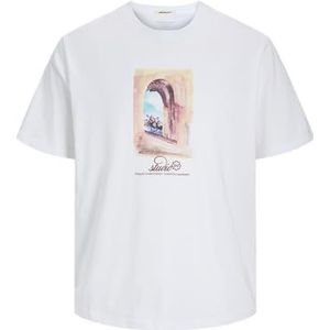 JACK & JONES Jorhydra Front Tee Ss Crew Neck voor heren, wit (bright white), S