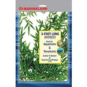 MarineLand Bamboe 3 Voet, Decor Voor aquaria en Terraria, Model: 47431905481, Groen, Blauw