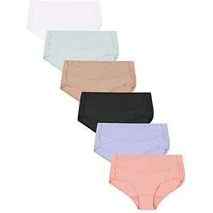 Hanes Women's Signature Smoothing Brief Panty (Pack of 6)