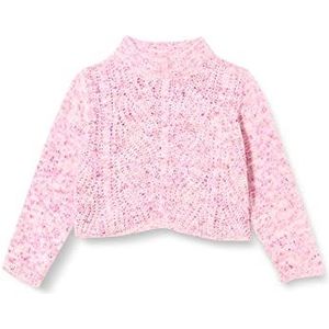 Bestseller A/S Nkfnipretty Ls Knit Sweatshirt voor meisjes, smoky druipen, 146/152 cm