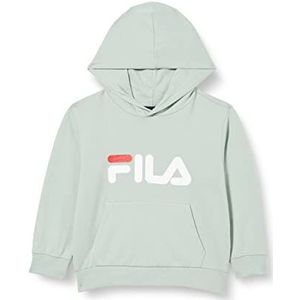 FILA Uniseks Bajone Classic Logo Hoody voor kinderen, Silt Green., 110-116