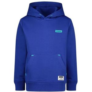 Vingino Basic Hoody Sweater voor jongens, web blue, 10 Jaar