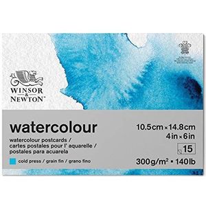 Winsor & Newton 6667009 klassiek aquarelpapier in briefkaartblok - 15 vellen 10,5x14,8 cm, 300 g/m², gelijmd, koudgeperst, licht gestructureerd wit papier, archiveerbaar, bestand tegen vergeling
