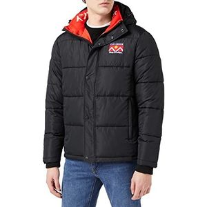 Kings of Indigo Annei Herenjas