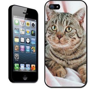 Fancy A Snuggle opsteekbare harde case voor Apple iPhone 5 om op te steken, motief bruin gestreepte kat