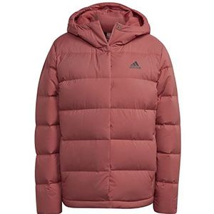 Adidas Dames Helionic Hooded Down Jacket JACKET (DOWN)