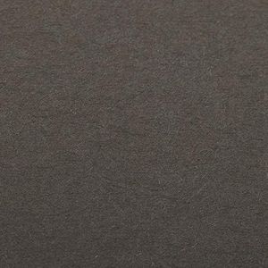 Clairefontaine - Ref 93860C - Etival Gekleurd Graineerd Tekening Papier (Verpakking van 25 Vellen) - A4 (29,7 x 21cm) - 160gsm Cellulose Art Papier - Antraciet - Zuurvrij, pH Neutraal
