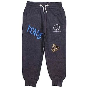 Eleven Paris Joggingbroek, Grijs, 4 Jaren