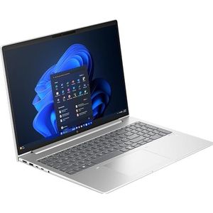 HP EliteBook 665 G11 (9C0H7EA) (zilver, Windows 11 Pro 64-bit, 40,6 cm (16 inch), 512 GB SSD)