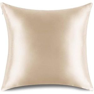 RENESSY Bio Zijde Kussensloop 80x80 cm - 100% Biologische Moerbei Zijde, 22 Momme, Natuurlijk Hypoallergeen, Bevordert Haar- en Huidgezondheid, 1 Stuk (Champagne)