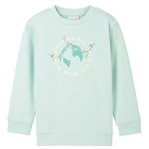 TOM TAILOR Sweatshirt voor jongens, 34606 - Pastel Apple Green, 92/98 cm
