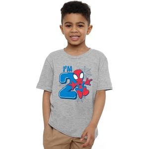 Spiderman Leuke Spidey Verjaardag 2 Unisex Kids T-shirt, Athletic Heather, 12-13 Jaar, Atletische Heather, 12-13 jaar
