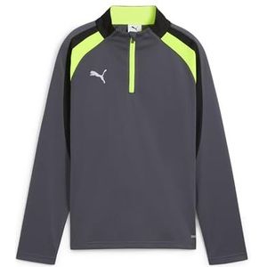 PUMA IndividualLIGA 1/4 Zip Top Jr