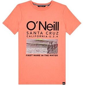 O'Neill Lb The Point T-shirt met korte mouwen voor jongens