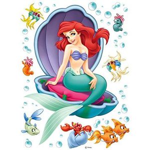 Disney Princess DK 1755, Film, Multi kleuren, 42,5x65/16,7x25,5 inch