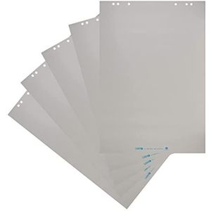 LANDRE 100050590 Flipchart-papier 10 blokken geruit 20 vellen per blok 80 g papier blanco, recycling 5 Blöcke, gerollt Blanco