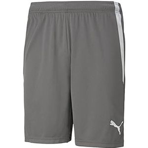 Puma Teamliga Shorts, Smoked Pearl, L, uniseks, voor volwassenen