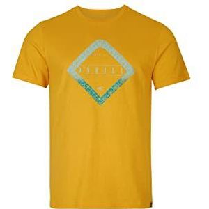 O'NEILL Tees Shortsleeve Diamond T-shirt voor heren, 12010 oud goud, XS/S