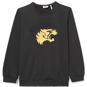Koton Boys's Tiger Printed Embossed Detail Brushed Interieur Crew Neck Sweatshirt, antraciet (927), 4-5 jaar