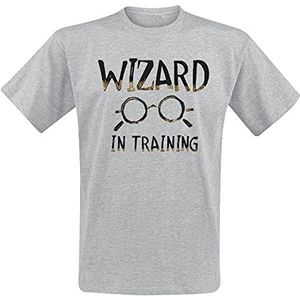 HARRY POTTER Wizard T-shirt voor heren, met korte mouwen, grijs gemêleerd, regular fit, Grijs Melange, XL